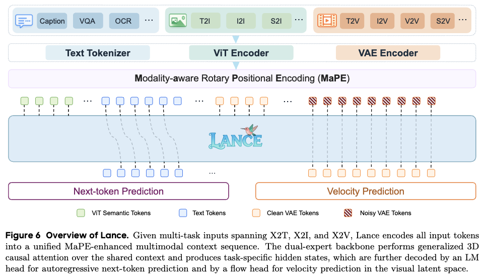 Overview of Lance showing a shared multimodal context sequence with separate understanding and generation pathways, plus modality-aware rotary positional encoding.