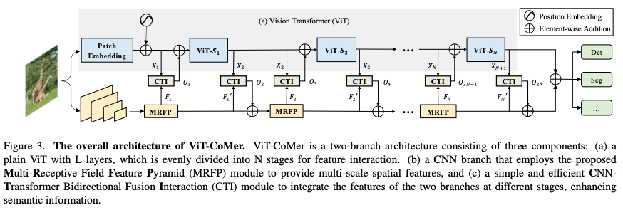 ViT-CoMer architecture showing a plain ViT branch, a CNN feature branch, and interaction modules between them.